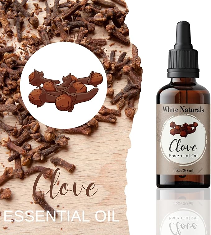 Organic Clove Essential Oil - 100% Pure & Natural, Therapeutic Grade, Undiluted, Premium Quality Aromatherapy Oil for Diffuser, Hair, Skin, Gums & Oral Discomfort and Teeth with Premium Glass Dropper - Bloomnest
