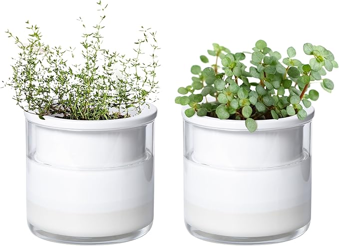 Phoenix Vine 4 Inch Self Watering Planter Pot, Design White Terracotta Pots for Plants, Indoor Cylinder Terra Cotta Pots with Glass Vase, Set of 2, 51-B-E-2 - Bloomnest
