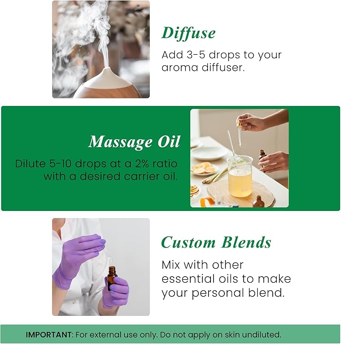 Handcraft Blends Thyme Essential Oil – Huge 4 Fl Oz – 100% Pure and Natural – Premium Grade Essential Oil for Diffuser and Aromatherapy, Skin, Massage, Candle and Soap Making Fragrance - Bloomnest
