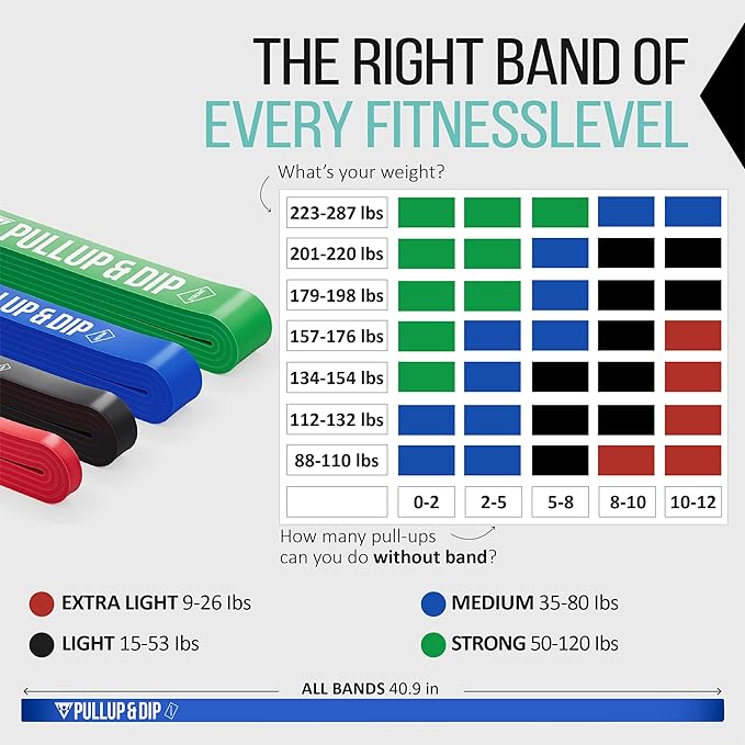PULLUP & DIP Fitness Bands, Resistance Bands with Bag, Door Anchor (with Sets) and Exercise Guide - Single & in Value Set, Pull-Up Band Fitness Band for Calisthenics - Bloomnest