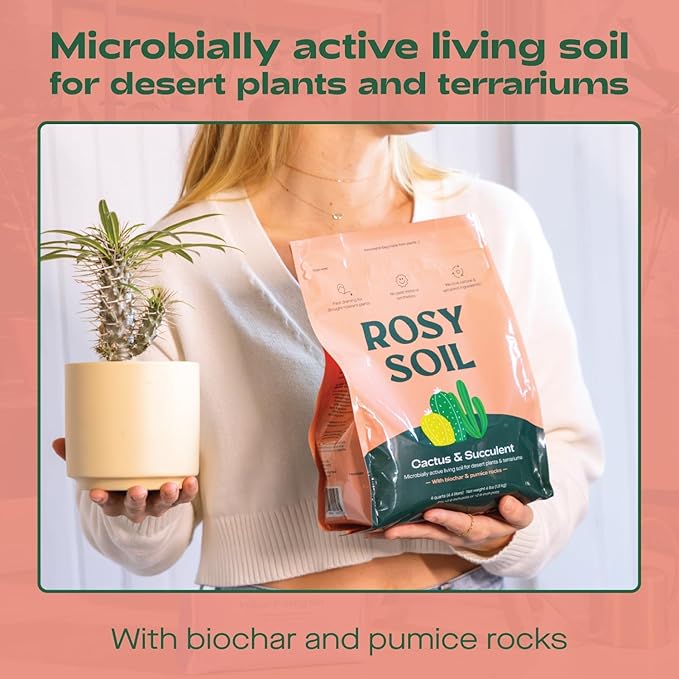 Cactus and Succulent Organic Potting Soil Mix for House Plants - Fast Draining, Root Boosting, Peat-Free, Less Prone to Gnats - Drought-Tolerant - Growth of Aloe Vera, Cacti and Indoor Succulents- 4qt - Bloomnest