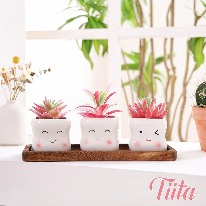 Tiita Cute Artificial Faux Succulents in Pots, Pink Fake Plants Ceramic Arrangement Planter Small Mini Tiny Decoration for Home Office Accessories Women Desk Window Sill Bathroom Bedroom - Bloomnest