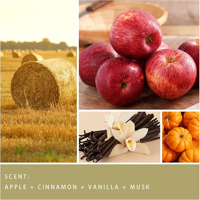 Fall Candle - Harvest Season Scented Candle, Fall Soy Candles for Home Decor, 7 oz Natural Soy Wax – Long-Lasting Autumn Candles, Aromatherapy Gift for Women & Thanksgiving, 7oz - Bloomnest