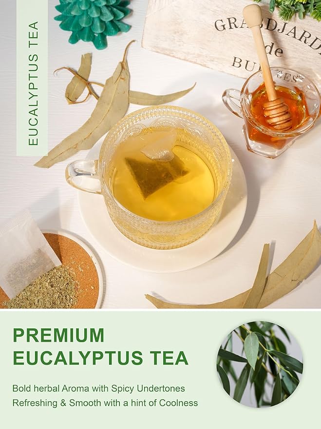 TeeLux Eucalyptus Tea Bags, Premium Dried Eucalyptus Leaves Tea, Refreshing & Smooth Flavor, Caffeine Free, 100 Count - Bloomnest