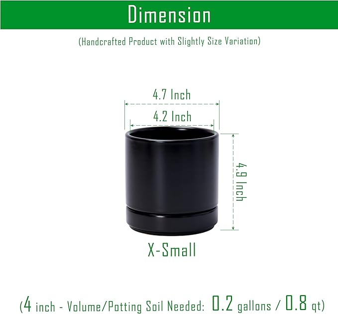 D'vine Dev Set of 2 Plants Pot, 4.7 Inch Ceramic Planter Pot for Plants with Drainage Hole and Saucer, Black, 94-V-B-2 - Bloomnest