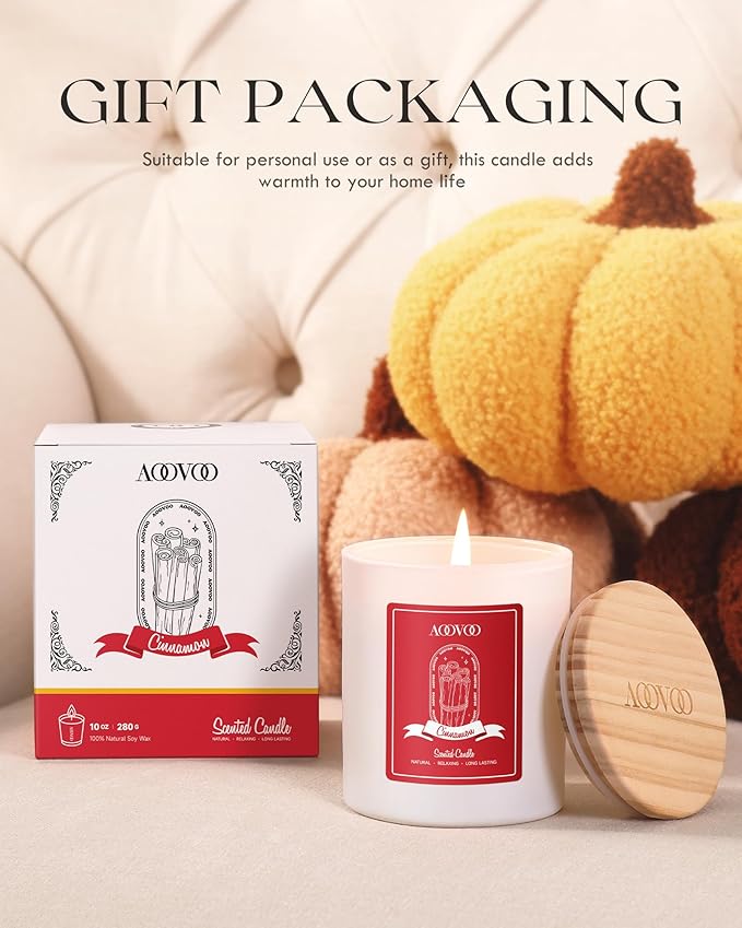 AOOVOO Cinnamon Scented Candles for Women - Aromatherapy Candle with Crystals Inside, 10oz Soy Candles for Home Scented, Birthday Gifts Christmas Candle for Women Mom - Bloomnest