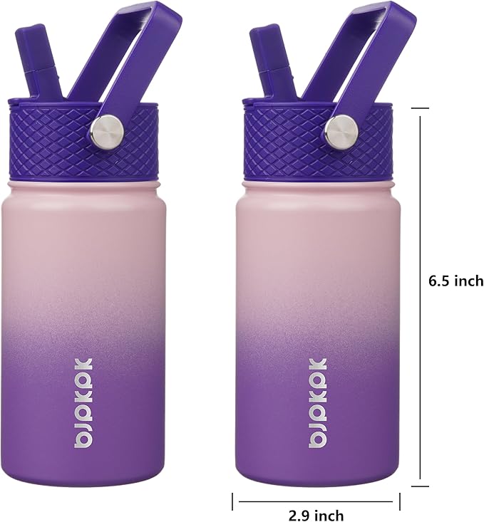 BJPKPK Insulated Water Bottle with Straw Lid, 15 oz Stainless Steel Metal Water Bottles, Reusable Leak Proof BPA Free Thermo, Flask, Cups - Violet - Bloomnest