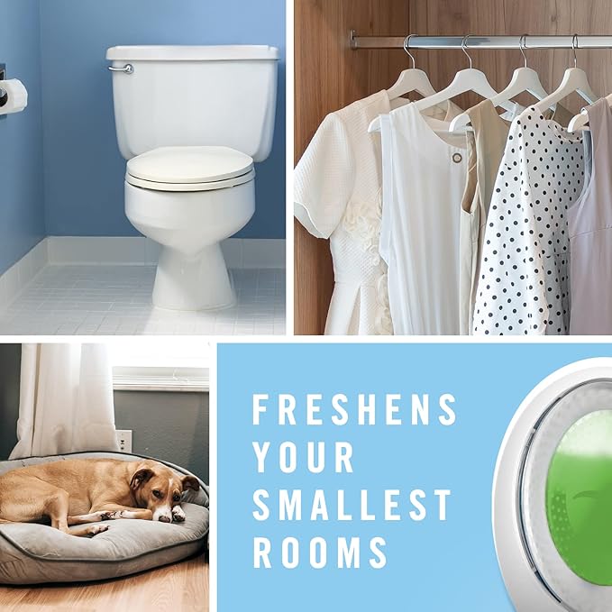 Febreze Small Spaces Air Freshener Limited Edition Scents (Winter Spruce, 2 Pack) - Bloomnest