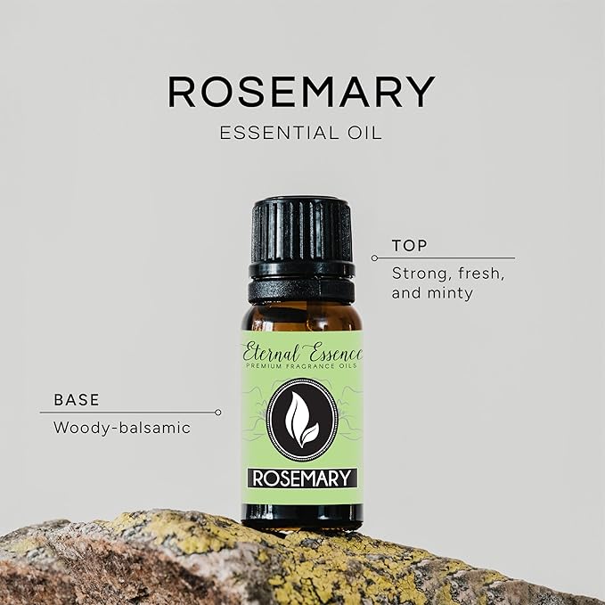Rosemary Premium Grade Fragrance Oil - 10ml - Scented Oil EternalEssenceOils