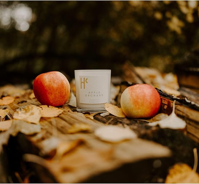 Long-Lasting Amber Vanilla Fragrance - Single Wick Scented Candles - Up to 60 Hour Burn Time, Cruelty-Free Soy Candle Wax Blend - Warm Golden Amber & Vanilla Fragrance (9 oz) - Bloomnest