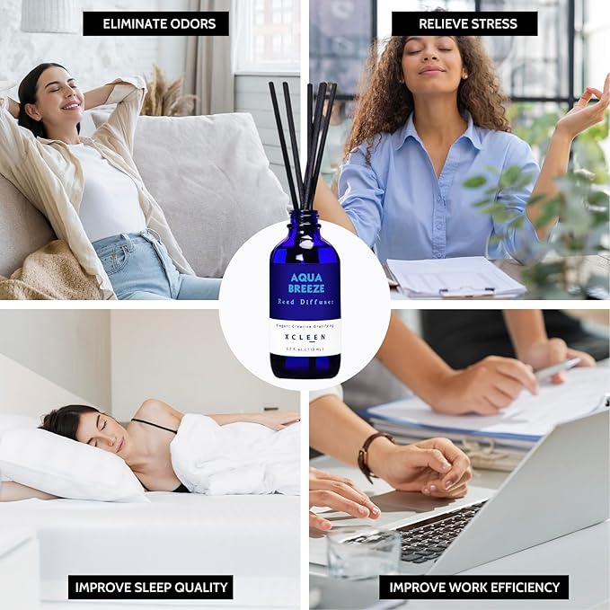 Reed Diffuser Set, Aqua Breeze Scented Oil Diffuser with Sticks, Long-Lasting Home Fragrance Reed Diffusers for Bathroom Office Shelf, Room Fresheners 3.7 Oz - Bloomnest
