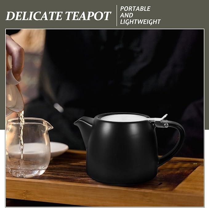 Small Ceramic Tea Pot with Stainless Steel Infuser Portable Tea Kettle Electric Ceramic Stove for Home Dorm Kung Fu