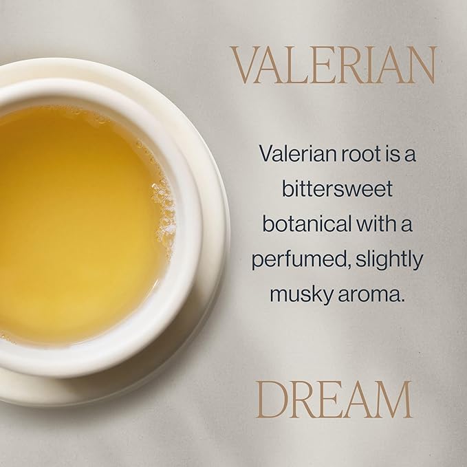 Rishi Tea Valerian Dream Herbal Tea - Organic Sachet Tea Bags, Sleep Friendly, Caffeine Free, Calming Botanical Blend with Valerian Root - 15 Count (Pack of 1) - Bloomnest