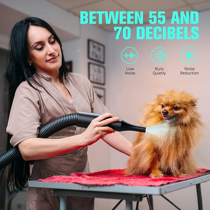 Pet Dryer, 5.2HP/3800W Pet Grooming with Adjustable Speed and Temperature Control Dog Blow Dryer, Pet Hair Dryer with 3 Nozzle - Bloomnest