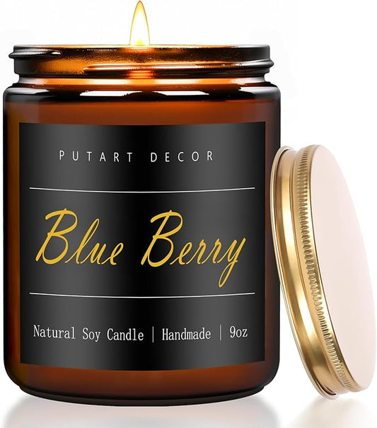 Blue Berry Candles for Home Scented, Natural Soy Aromatherapy Non Toxic Candles with Long Lasting Fragrance & Clean Burn, Luxury Jar Candle Gift for Women, Men, Home Decoration 9oz - Bloomnest