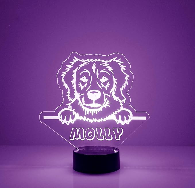 Custom Golden Retriever Dog LED Sign Night Light Lamp with Remote, Light Up Display with Personalized Name or Image, Customized, Made in The USA, Clear Acrylic Home Decor Design, 16 Colors, 4 Modes - Bloomnest