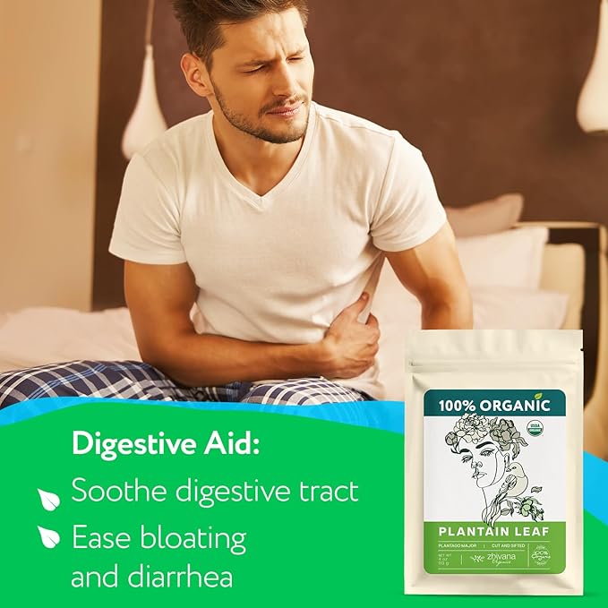 Plantain Leaf Organic (4 oz.) – Broadleaf Plantain Tea Loose Leaf (Plantago Major) – Llanten Planta Medicinal - Herbal Tea for Digestion, Respiratory Health & Detox - Bloomnest