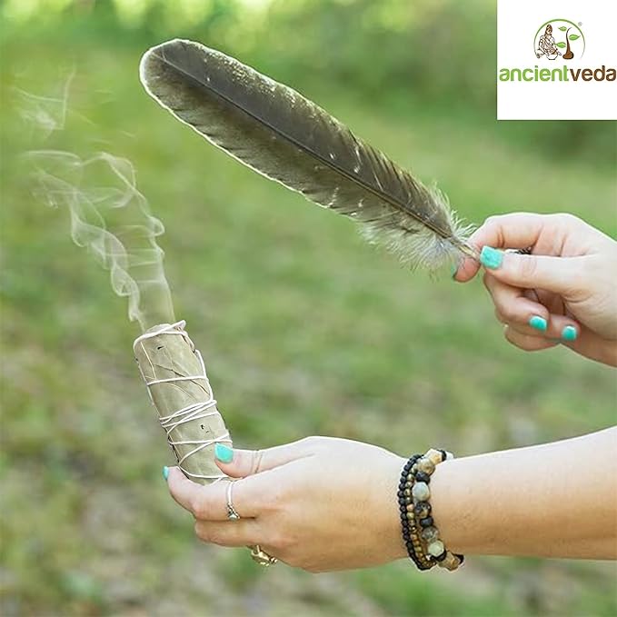 Ancient VEDA Healer's Kit: Complete Sage Smudge Kit Bundle w/Abalone Shell, Palo Santo, Sweetgrass, Turkey Feather & Guidebook – Spiritual and Energy Cleansing, Ritual Supplies, Smudging Essentials AncientVeda