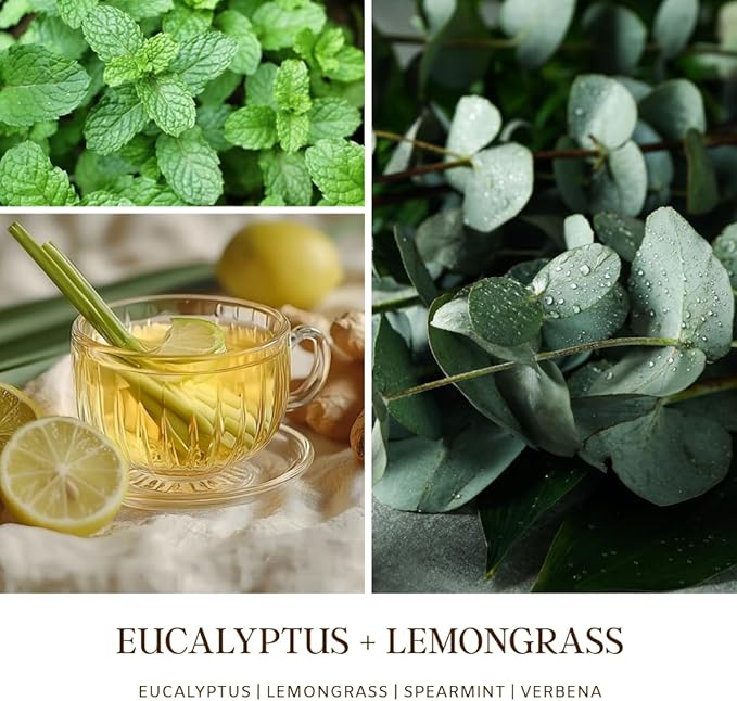 SENSE ISLAND Eucalyptus Lemongrass Scented Candle for Home Scented 50+ Hrs Highly Scented Refreshing Citrus | 100% Natural Soy Candle Gifts for Women Highly Scented House Warming Gifts - Bloomnest