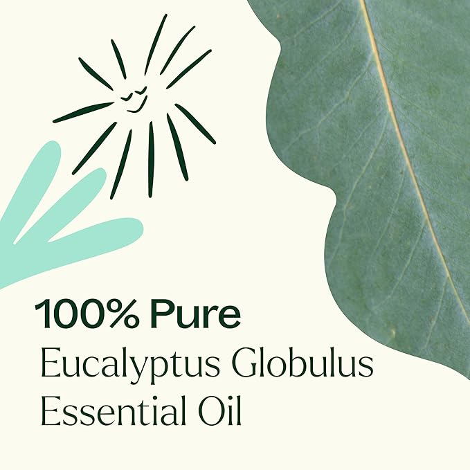 Plant Therapy Eucalyptus Globulus Essential Oil 100 mL (3.3 oz) for Diffuser, Skin, Hair, Aromatherapy DIYs, and Clear Breathing, 100% Pure, Undiluted, Therapeutic Grade - Bloomnest