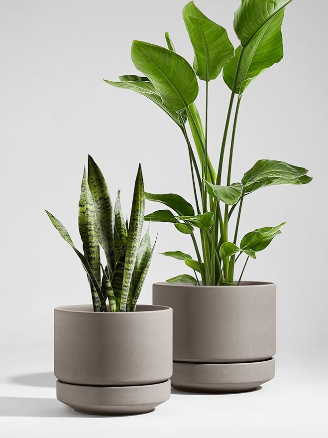 LE TAUCI 12 Inch Pots for Plants with Saucer | Ceramic Outdoor & Indoor Planter Pot for Plants | Drainage Hole, Mesh Pad & Plug | Unglazed Porous | Modern for Home, Office and Patio – Neutral Gray - Bloomnest