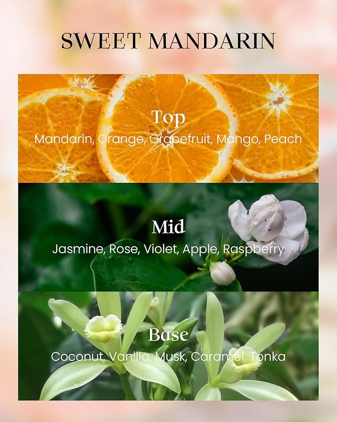 M&SENSE Citrus Scented Soy Candles,Vegan,No Toxin,8.1oz 42-Hour Slow Burning Time,Sweet Mandarin Heavy Scented Candle,Air Purifying Aromatherapy Office Home Fragrance - Bloomnest