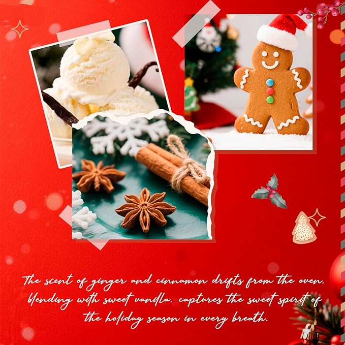 Reed Diffuser Set, Gingerbread Joy Christmas Oil Diffuser with Sticks, Home Fragrance Reed Diffuser for Bathroom Office Shelf Decor, Scented Room Fresheners, Holiday Ideal Gift 6.7 Fl.Oz - Bloomnest
