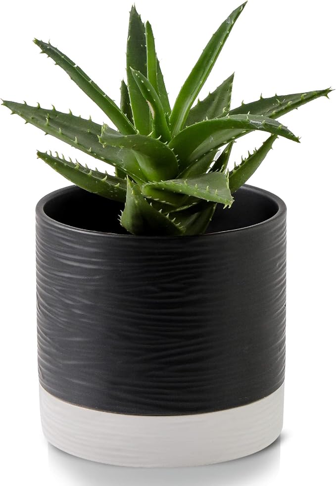 Nihow Ceramic Plant Pot: 6 Inch Planter with Drainage Hole & Saucer for Indoor & Outdoor Plants - Cylinder Round Flower Pot for Succulent/Herbs/Violets - Black & White - Bloomnest