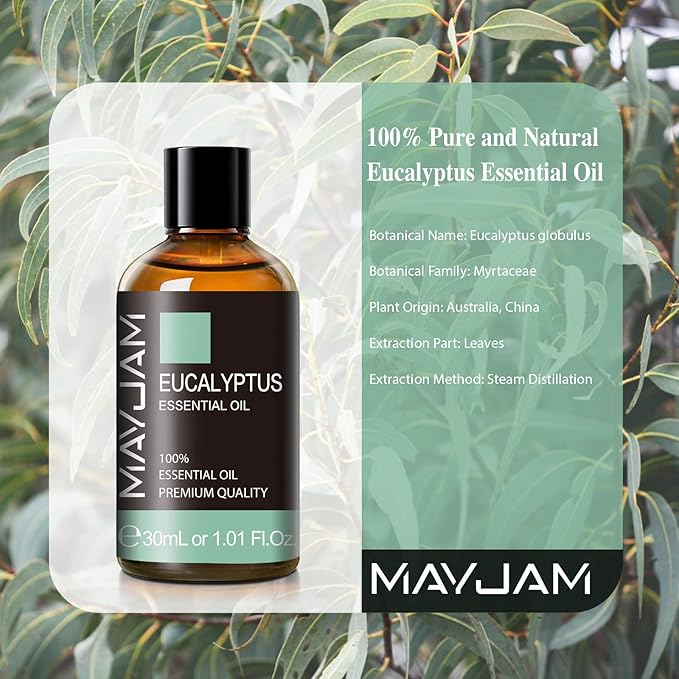 Eucalyptus Essential Oil, MAYJAM 30ML/1.01FL.OZ Pure Eucalyptus Oils for Diffusers, Soap Candle Making, Perfect for Living Room Bedroom Office Car Use - Bloomnest