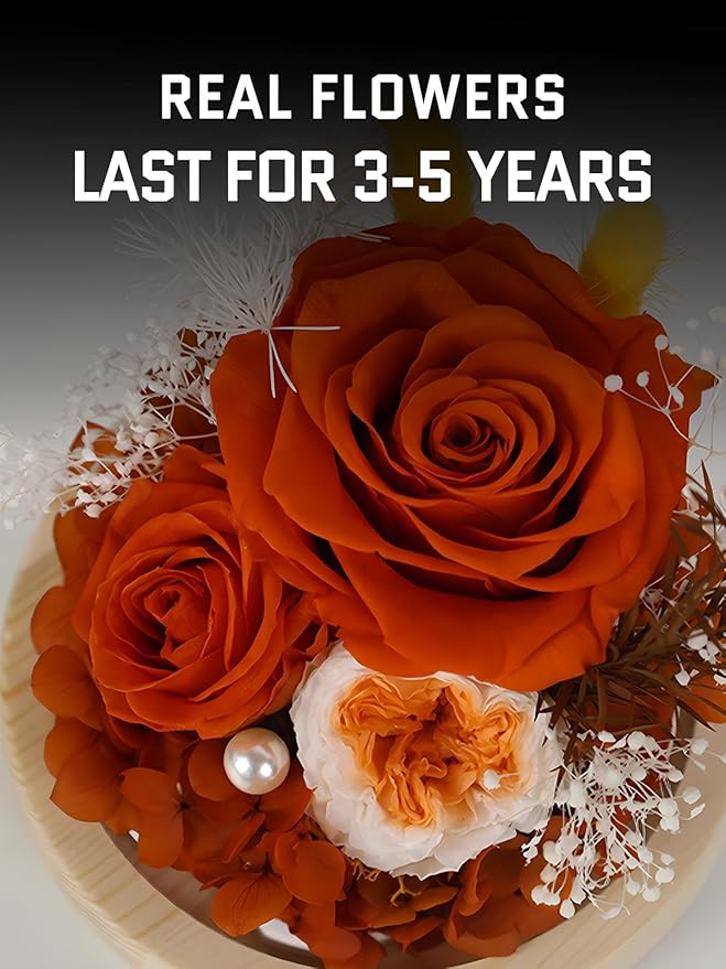 FIACO Preserved Rose Birthday Gift for Women Forever Fresh Flowers for Prime Delivery Gift for Mom Grandma Wife Valentines Mothers Day Christmas Anniversary Eternal Roses in Glass Dome - Bloomnest