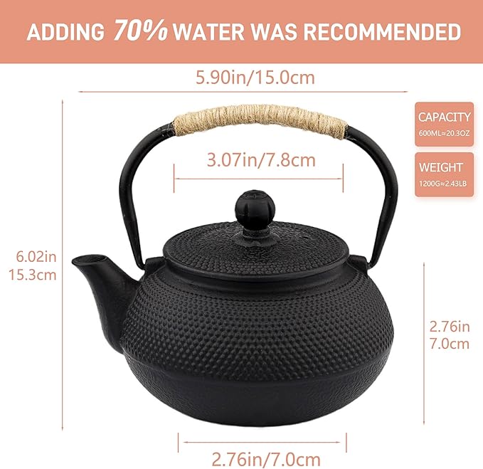 20.3oz Only, Small Tea Kettle for 1-2 Cups, Japanese Tetsubin, Cast Iron Teapot with Stainless Steel Infuser for Loose Leaf & Coffee, Tea Pot for Stovetop Safe, Enamel Interior(Black, 600ml) - Bloomnest
