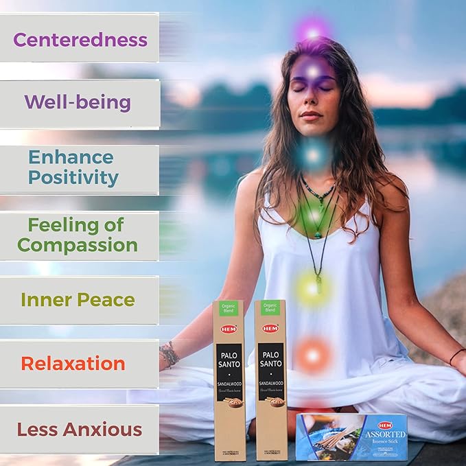 Hem Assorted Incense Sticks Variety 6 Packs x 15 GMS - Aromatherapy Insence for Air Purifier,Insents Stick Gift Set, Perfect for Meditation and Relaxation (Palo Santo) BluSpirits