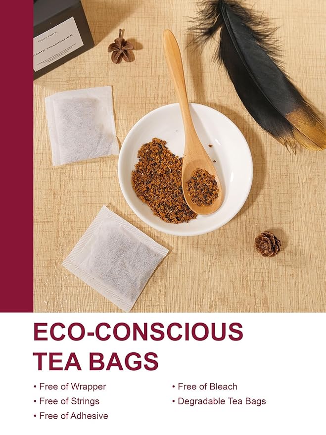 TeeLux Chaga Tea Bags, Pure & Natural Chaga Mushroom Tea, Smooth Flavor, Caffeine Free, 100 Count - Bloomnest