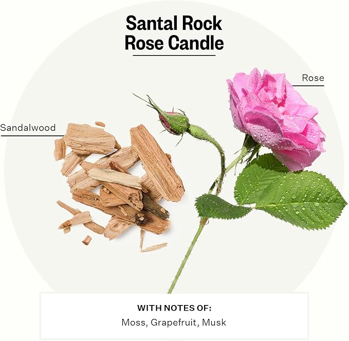 Apotheke 3-Wick Scented Candles for Home, Santal Rock Rose - 26 oz Soy Wax Jar Candle Gift for Women - Long-Lasting Fragrance with Perfume-Grade Essential Oils - Sandalwood, Rose, Musk & Leather - Bloomnest