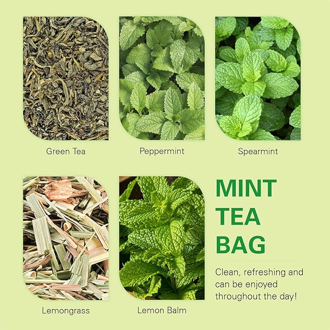 WT WEETEE Mint Green Tea Bags, 100 Count, Perfect blend of Green Tea, Peppermint, Spearmint, Lemongrass, Lemon Balm, Low Caffeine Mint Medley Herbal Tea - Bloomnest