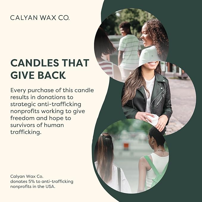 Calyan Wax Co. Fir & Clove 3 Wick Scented Candle - 43 Hour Burn - Luxury 3 Wick Soy Candles - Non Toxic Soy Wax Candles - Long Lasting Large Glass Jar Candle for Home - 14.9oz - Bloomnest