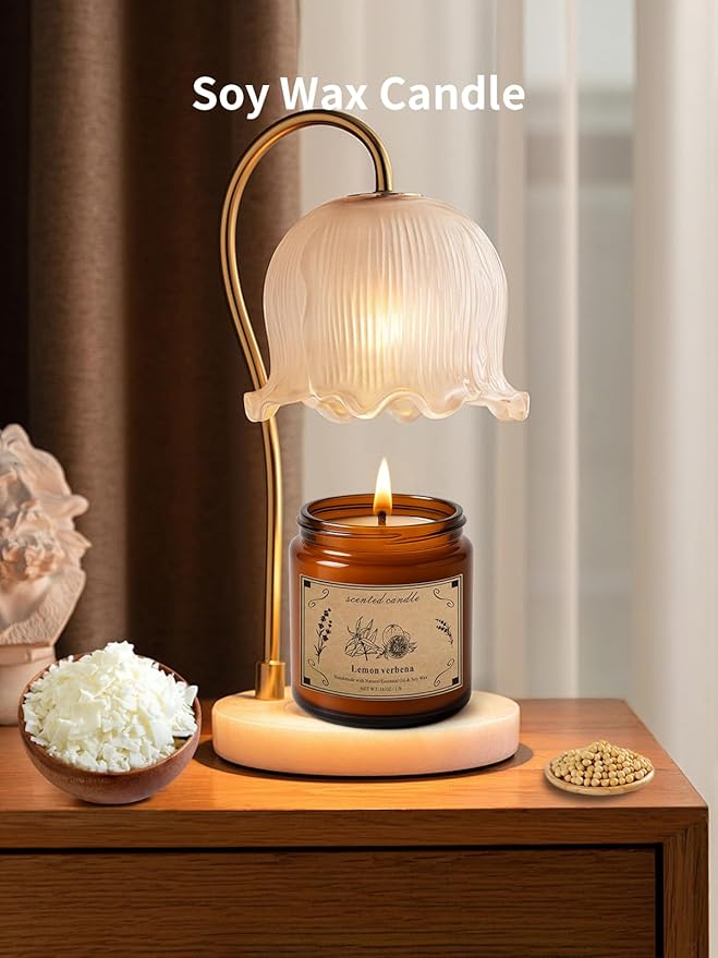 Scented Candles for Home, 16oz Large Jar Scented Candle – Lemon Verbena Soy Wax Candle with 100 Hour Burn Time, Long Lasting Aromatherapy Candle for Home Fragrance, Relaxation & Gift for Women/Men - Bloomnest