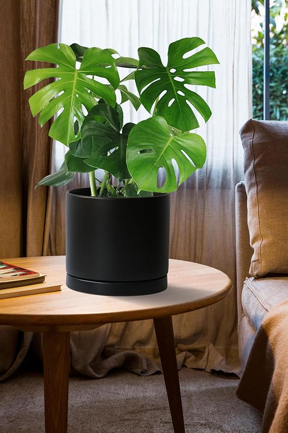Aveyas 8 inch Ceramic Plant Pot with Drainage Hole and Saucer - Suitable for Indoor and Outdoor Use, Modern Planters for House Garden Flower Tree Snake Monstera Plants (8", Matte Black) - Bloomnest