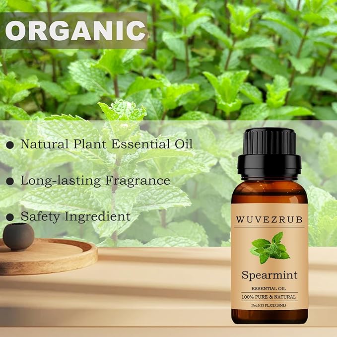 Spearmint Essential Oils 10ML, 100% Pure and Natural Essential Oil for Aromatherapy Diffuser - 0.33 Fl Oz/Spearmint WUVEZRUB