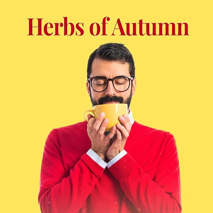 The Republic of Tea - Hot Apple Cider Tea, 36 Tea Bags, Tin | Harvest Herbal Blend | Caffeine-free - Bloomnest