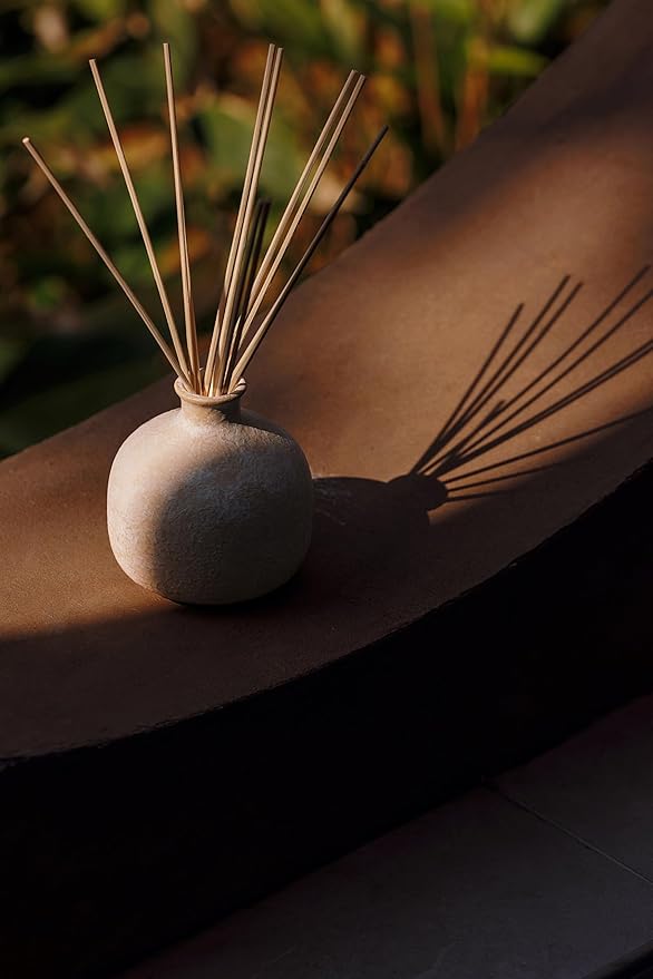 BLUEME Happiness-Yuzu & Ginger, 16.91 Fl Oz Wellness Diffuser, Contains Essential Oil, Sustainable, Hand Finished, Premium, Luxury Ceramic, Natural Rattan Reeds - Bloomnest