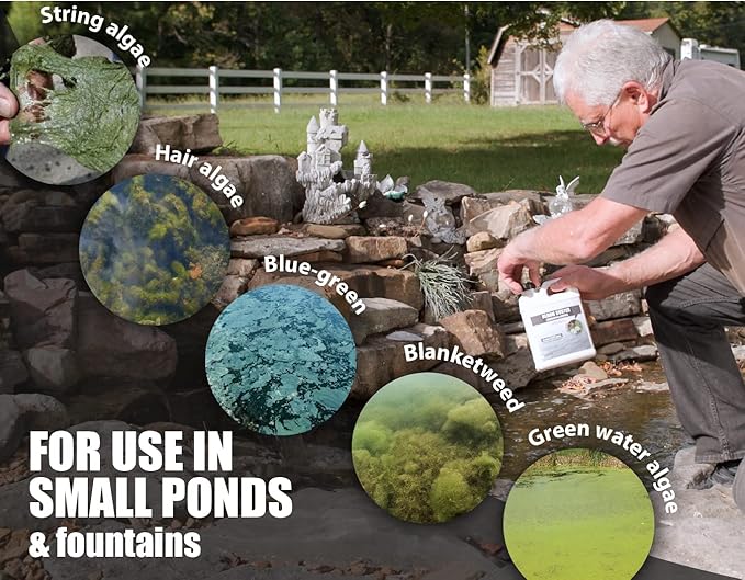 Bloom Buster Pond Algae Control - 64oz - Fast Acting Algaecide, Use in Fountains & Outdoor Ponds Containing Koi & Other Fish - EPA Registered - Bloomnest