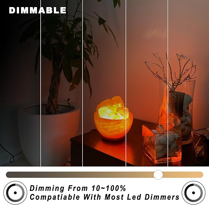 ALIDE E12 Dimmable LED Bulb 5W C7 Light Bulb,Replace 40W E12 Halogen Equivalent,Warm White 2700k T6 Base 110V 120V E12 LED Candelabra Bulbs for Ceiling Fan Chandelier Salt Lamp,450lm,10Pack - Bloomnest