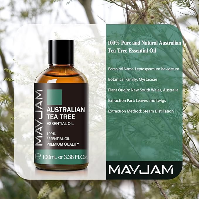 Australian Tea Tree Essential Oil, MAYJAM Pure Essential Oils for Diffusers, 3.38FL.OZ/100ML Large Volume Australian Tea Tree Oil with Premium Glass Dropper - Bloomnest