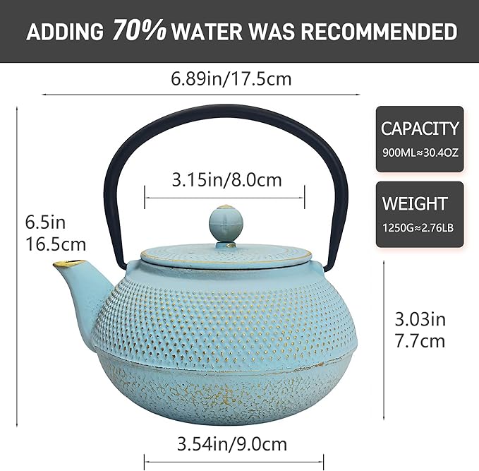 30.4oz Small Cast Iron Teapot, Tea Kettle for Stovetop Safe Coated with Enameled Interior, Japanese Tetsubin, Tea Pot with Stainless Steel Infuser for Loose Tea(900ml) - Bloomnest