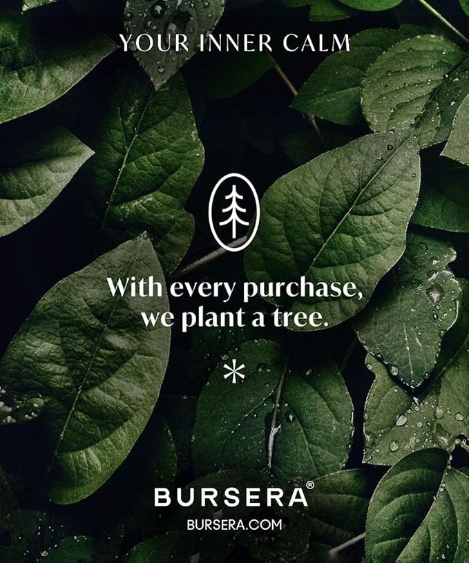 Bursera Terracotta Palo Santo Holder, Tree Planted with Every Order, Ceramic Palo Santo Burner Wood Stand, Incense Stick Burning Tray - Bloomnest