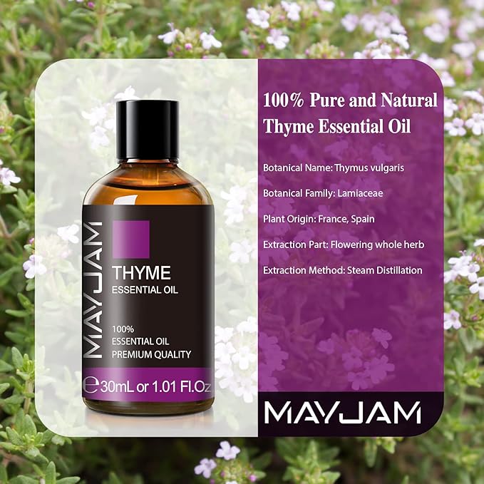 MAYJAM Thyme Essential Oil 30ML, Pure Essential Oils for Massage, Diffusers, Thyme Oil for Soap Candle Making (1.01FL.OZ Bottle) - Bloomnest