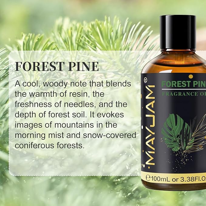Forest Pine Fragrance Oil Essential Oil, MAYJAM 3.38FL.OZ Forest Pine Oil for Diffusers for Home, Long Lasting Scented Oils for Soap Candle Making - 100ML MAYJAM