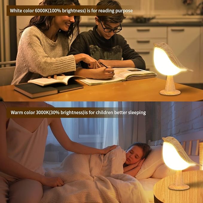 Bird Table Lamp with Remote & Touch Control | 3 Color Temperature & 3-Level Brightness Adjustable Night Light | Rechargeable Cordless Bedside Lamp for Bedroom Office Dorm | Timer & Bird Lover Gifts - Bloomnest