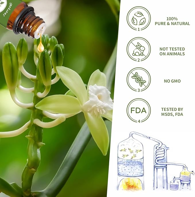 yethious 4 Pack Lavender Jasmine Vanilla Eucalyptus Essential Oil Set Vanilla Essential Oil for Diffuser, Soap/Candles Making Jasmine Essential Oil - Lavender, Jasmine, Vanilla, Eucalyptus - Bloomnest